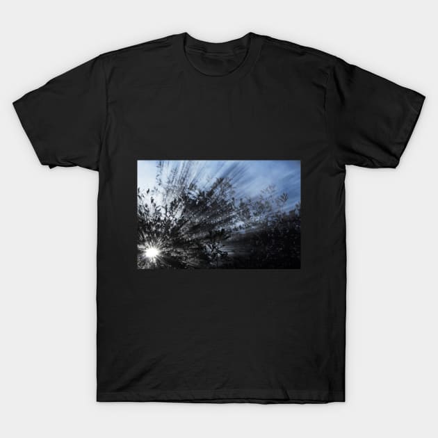 Smoked Sunshine T-Shirt by MustangBruce